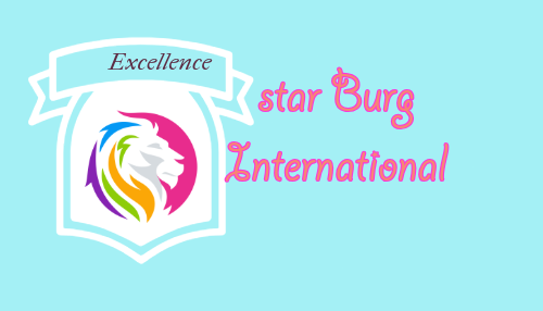 Star Burg International Logo